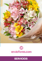Envía flores – Descuento del 15% || Centro de Seguros Liverpool